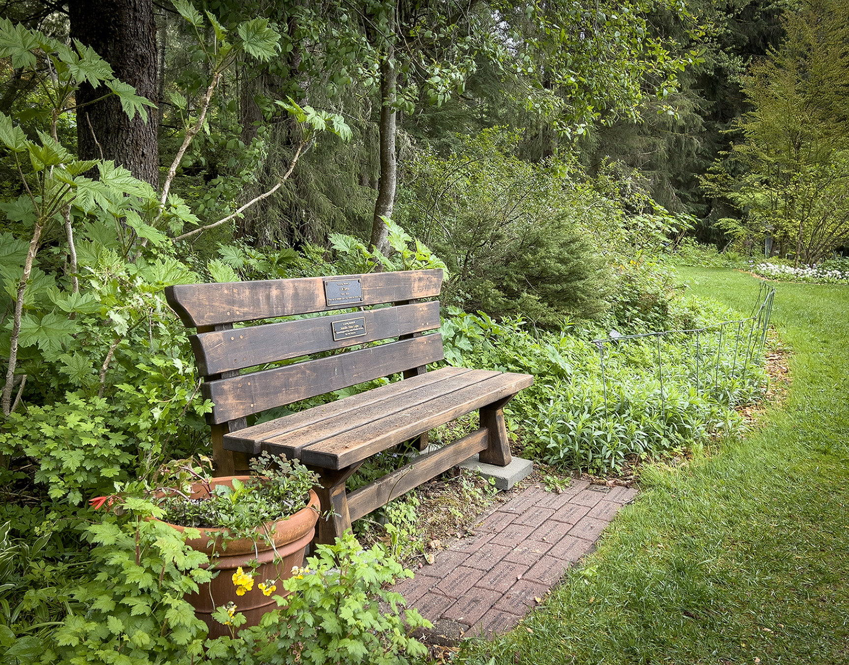 Forest Edge bench and engraved bricks